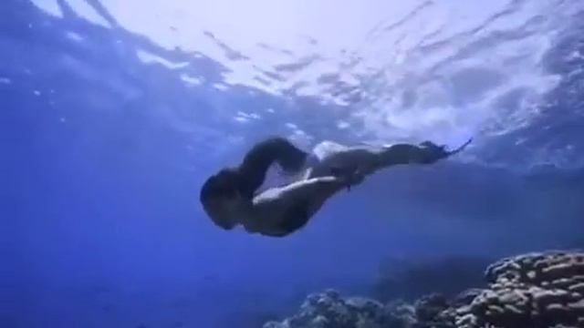 Пляж 🏖 отеля Нубиан Айленд смотреть онлайн