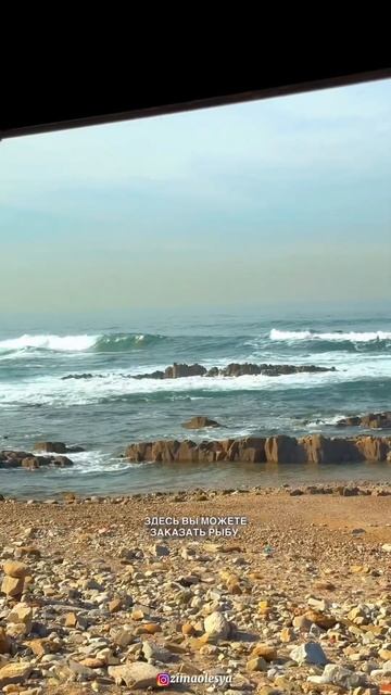 Вид из окон потрясающий)) #casablanca #африка #марокко #касабланка #zimaolesya смотреть онлайн