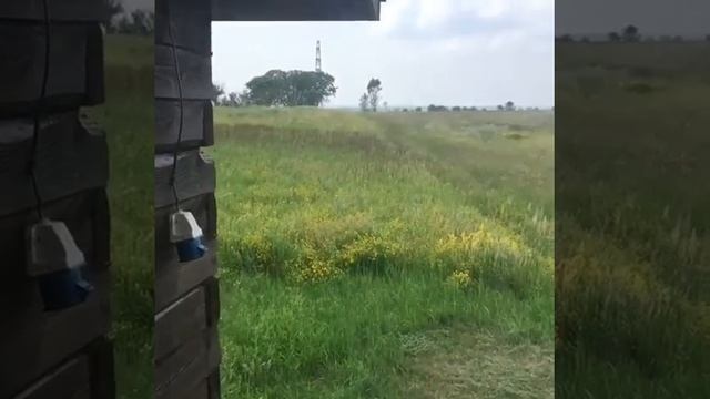 Экскурсия по базе отдыха