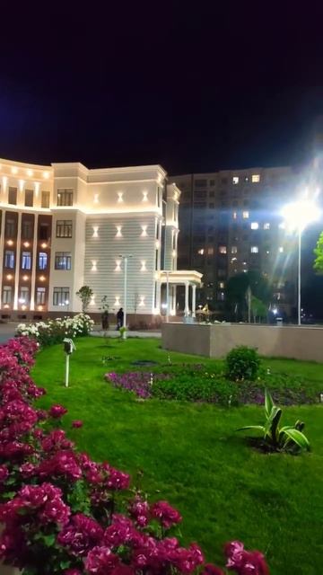 Мед. Университет Душанбе #shorts #tajikistan #точикистон смотреть онлайн