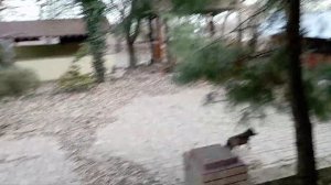 Мариуполь ⚓👍🥰"Ночной клуб Coral"просп. Нахимова, 43.🫣Так выглядит сейчас🤔