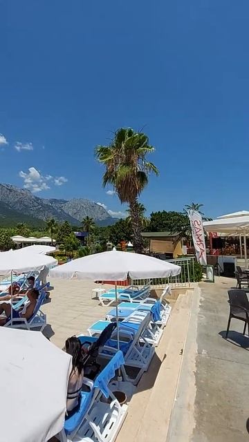 Анимация в отеле Armas Gul Beach Hotel 5* ⛱ смотреть онлайн