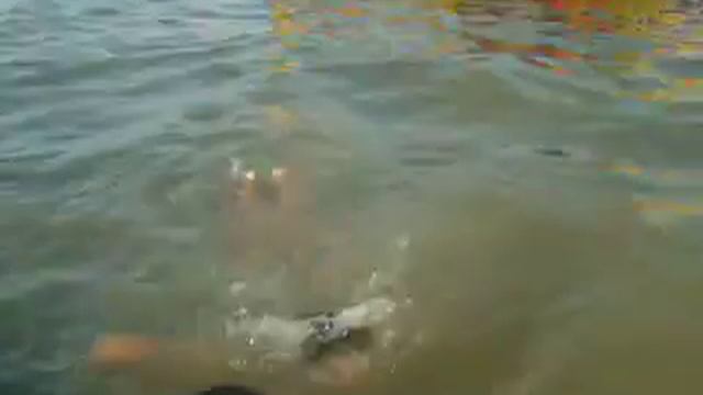 Море. Лето 2005 года. смотреть онлайн