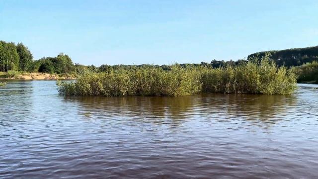 🇷🇺 Река "Ветлуга" в Нижегородской области