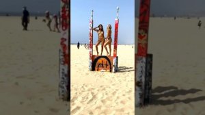 Kylin Kalani Recording