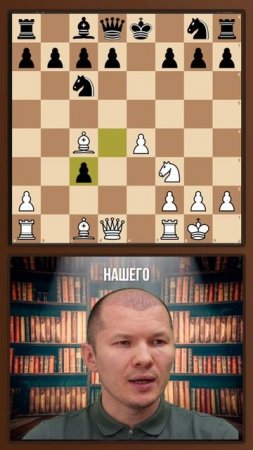 Гамбит Эванса