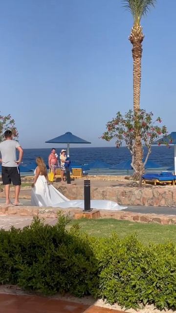 Egypt 2022. Hotel Albatros Royal Grand. Sharm el Sheikh. Египет.Шарм эль Шейх. смотреть онлайн