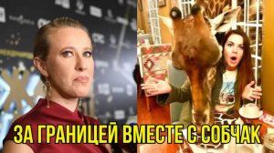 Где Сейчас Екатерина Андреева