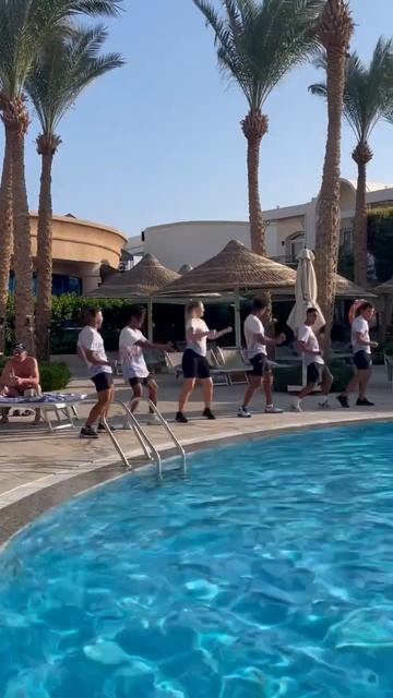 Зима в Египте. Отель Сиерра. Sierra hotel. Sharm el Sheikh. Egypt. Шарм эль Шейх. смотреть онлайн