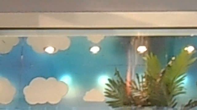 Магазин Рошен смотреть онлайн