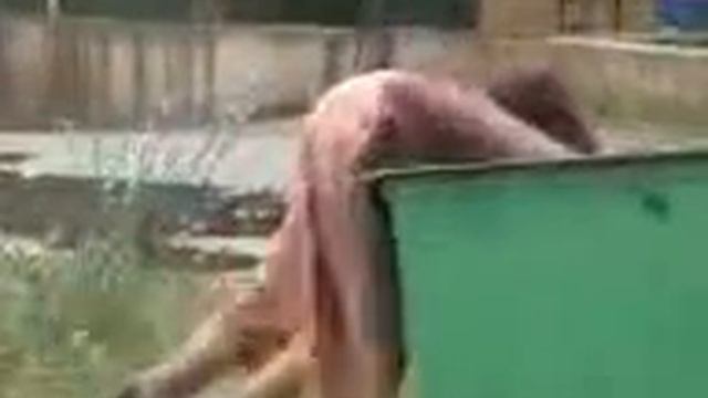 Бабуля в ударе смотреть онлайн