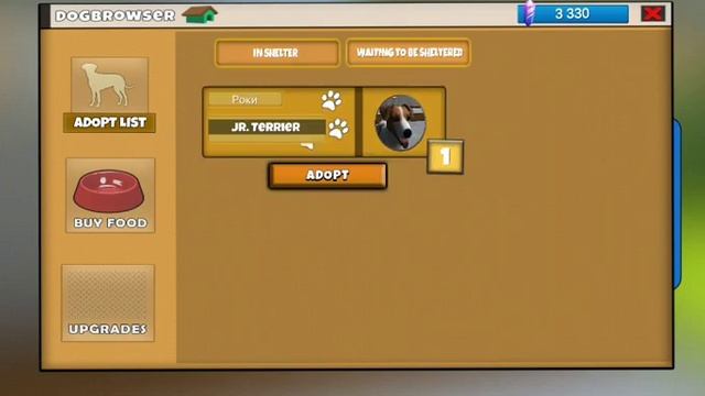 Dog & cat Shelter simulator! Собачий отель!?