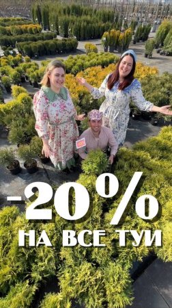 А где ты ТУЯ ТУЯ моя туя! - 20% на все туи в ЁЛЫ-ПАЛЫ