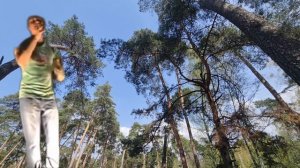 Алексей Гоман