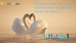 не дарите вы женщинам крылья