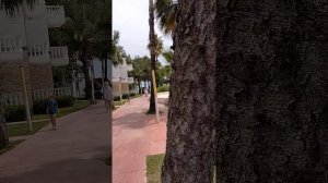 AMARA COMFORT KEMER 5 Кемер, Турция - Територията на хотела (Инфотур TEZ TOUR)