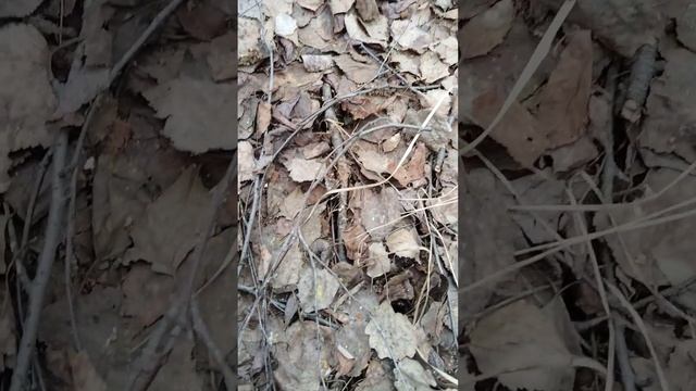 4 мая 2024 г. смотреть онлайн