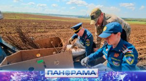 🌳 Посади своё дерево: акция «Сад памяти»! 9 тысяч белых акаций высадили в Старобешевском МО!