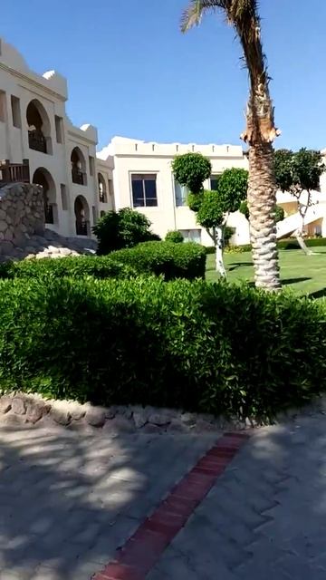 Отдых в Египете , отель Sharmillion aqua park смотреть онлайн