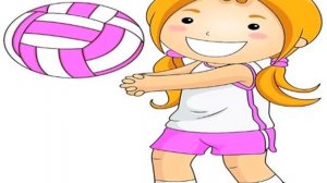 favourite colour, sport, food