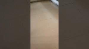 Завтрак  у отеля Phuket Graceland Resort & Spa 4* (Таиланд, Пхукет) 2022г