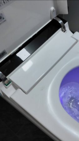 Унитаз из будущего в китайской деревне
