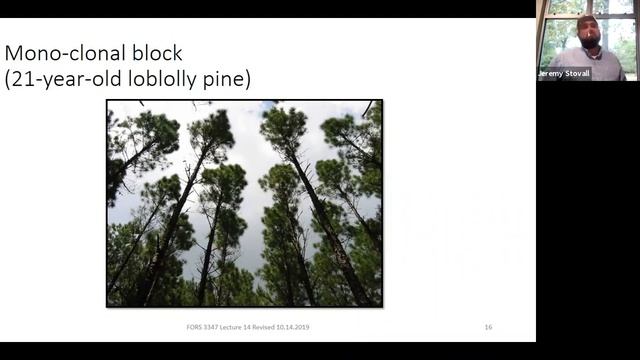 Seedlings & Nurseries - SFA Silviculture Lecture (FORS 3347) смотреть онлайн