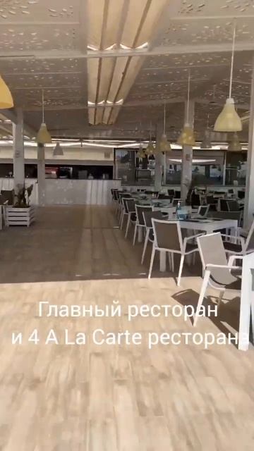 🇾🇪Отель Sunrise Holidays Resort Adults Only 16+ 5* в Хургаде #shorts#египет #хургада смотреть онлайн