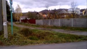 отдых в Закарпатье