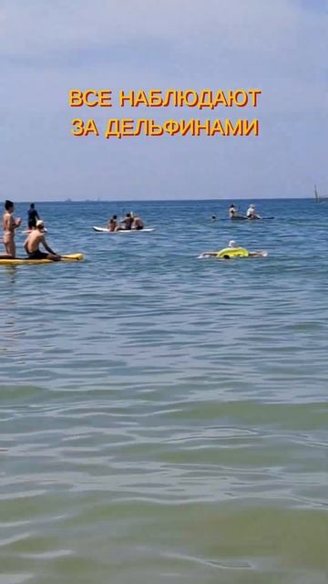 Посёлок Волна. Дельфины. Нажмите два раза на экран. #blacksea