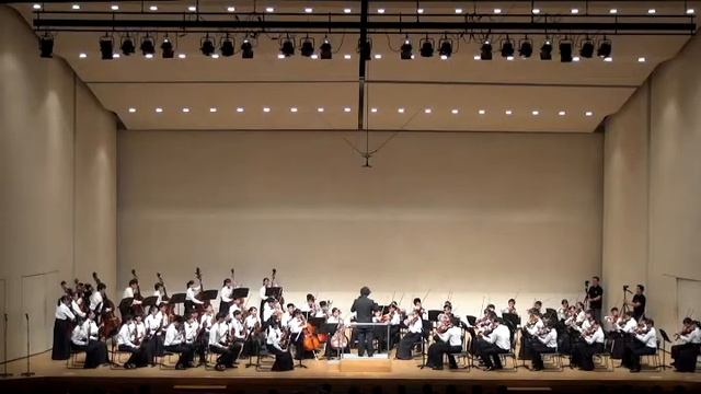 Serenade for String Orchestra Op11 one смотреть онлайн