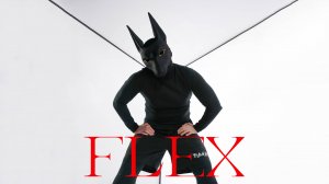My Acid Dog - Flex | Lyrics video