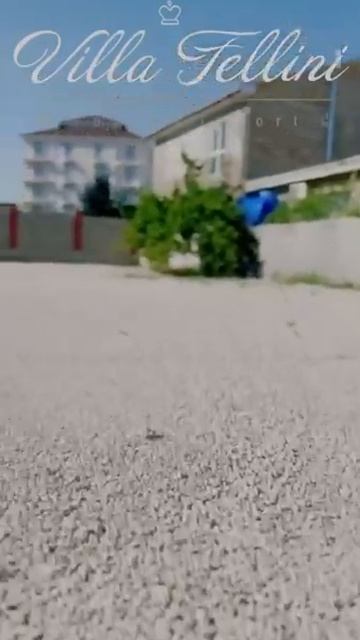 Вилла Феллини (Судак, республика Крым) смотреть онлайн