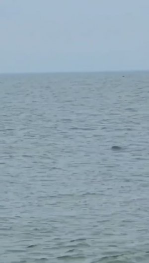 Частный сектор у самого моря Ейск, Водник, 324/1