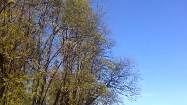 Гатчина с друзьями