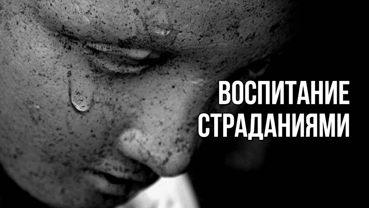 Воспитание страданиями. «Вечерний Ейск» от 2025.04.25