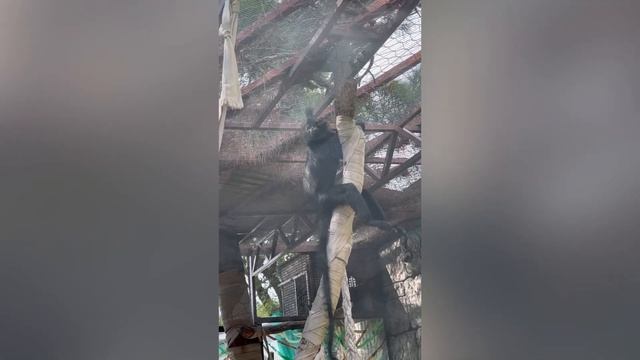 Поездка на машине в Архипо-Осиповку смотреть онлайн