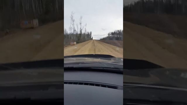 Вдольтрассовый проезд от Ленска до Верхнемаркова.