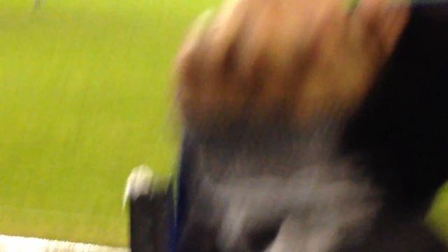 15.11.15 Факел Воронеж 1:2 Газовик Оренбург смотреть онлайн