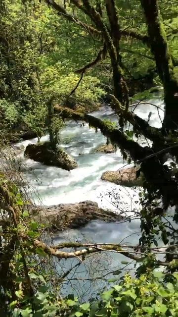 Abkhazia monastery in the rock# Абхазия скальный монастырь смотреть онлайн