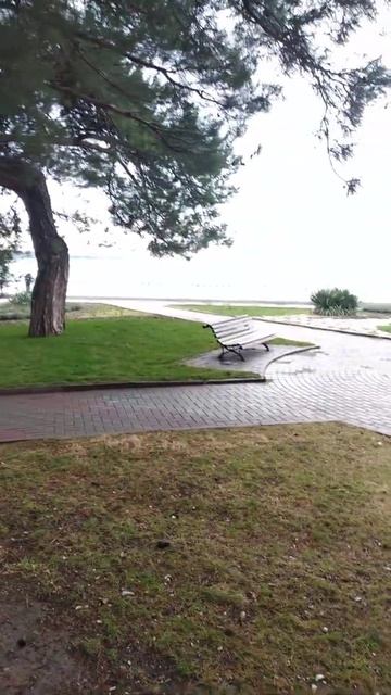 ГЕЛЕНДЖИК СЕГОДНЯ смотреть онлайн