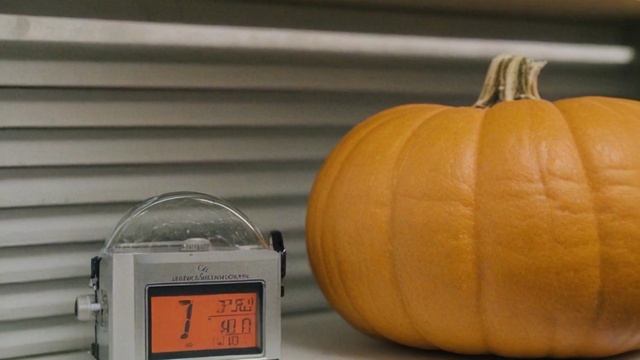 Какие сорта тыквы подходят для длительного хранения - Овощи смотреть онлайн