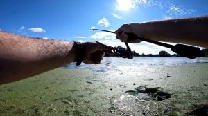 Favorite Black Swan BSW1 6102SUL—HS.  Новый инструмент в руках Мастера