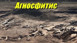 Агносфитис