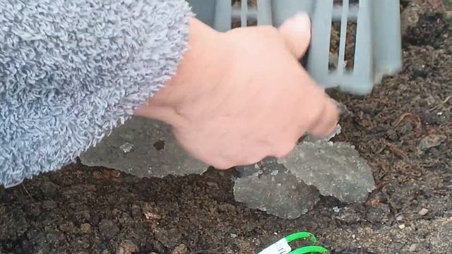 Посадка княжиков смотреть онлайн