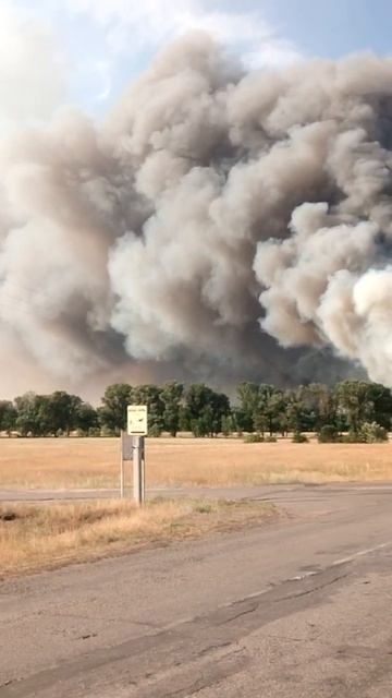 Верховой огонь перед въездом в детский лагерь и санаторий Цюрупы смотреть онлайн