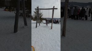 Масленица в питомнике хаски «догвинтер"