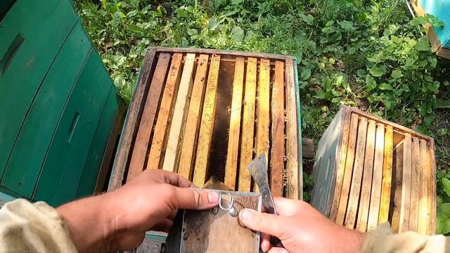 Як підняти бджоли в другий корпус  Бджільництво смотреть онлайн