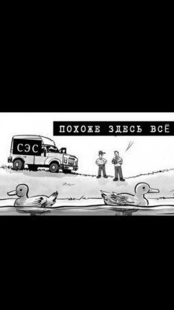 УТКИ - МУТАНТЫ