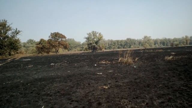 Пейзажи выгоревших полей. Чернигов смотреть онлайн